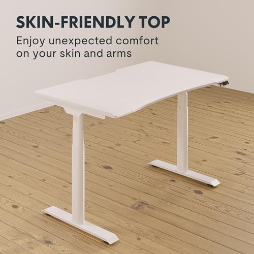 FlexiSpot E8 Standing Desk