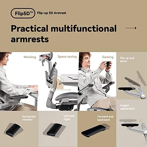 HINOMI H1 Pro Ergonomic Chair