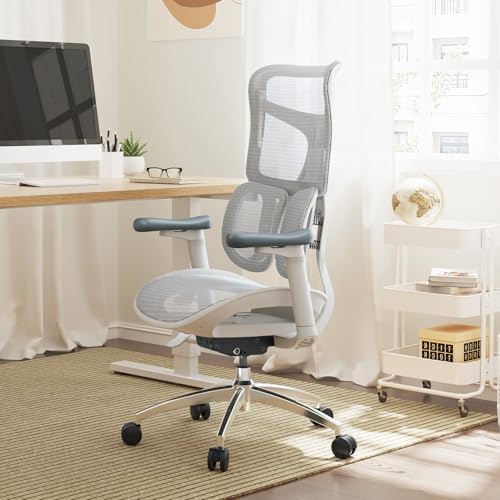 Sihoo Doro S100 Ergonomic Office Chair