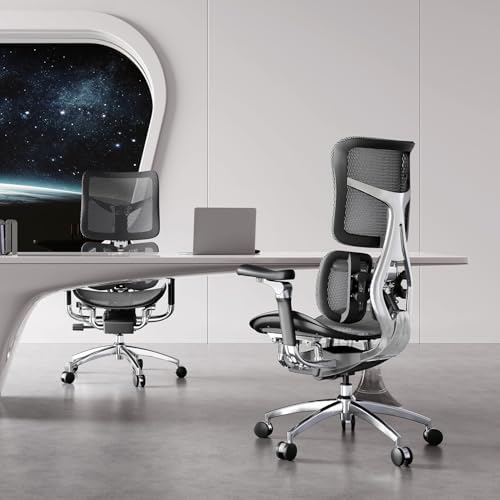 Sihoo Doro S300 Ergonomic Office Chair